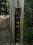 憩いの森