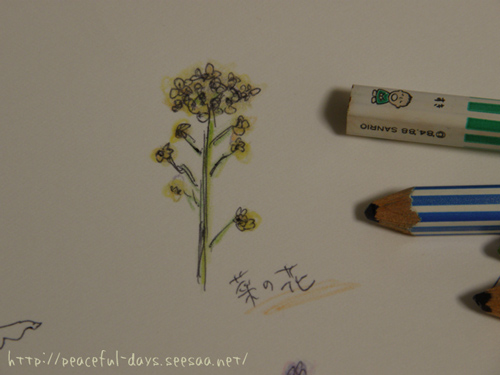 菜の花